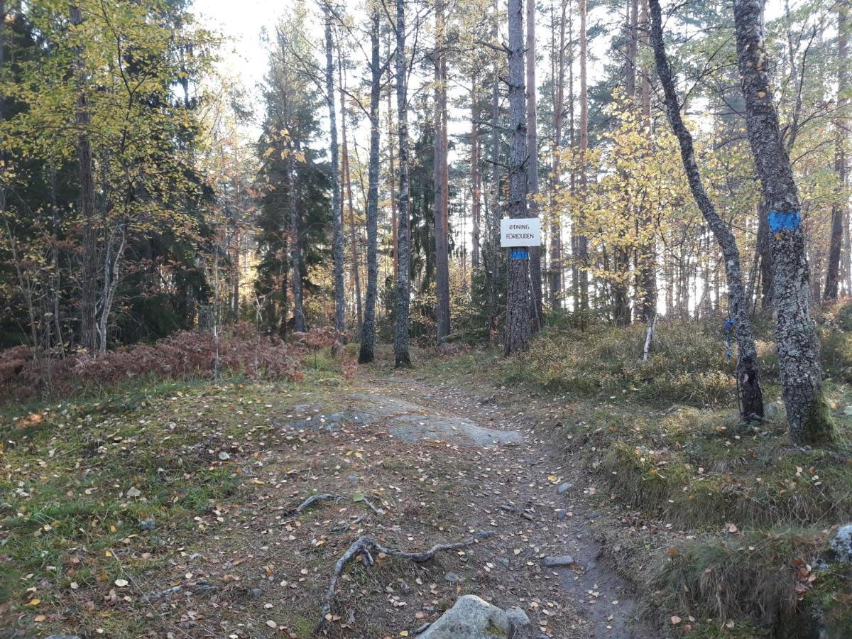 Tiny House In The Middle Of Nature Åkersberga Buitenkant foto